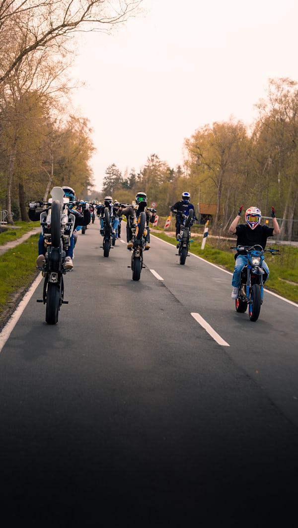 A crew of riders pulling wheelies down a tree-lined road at sunset