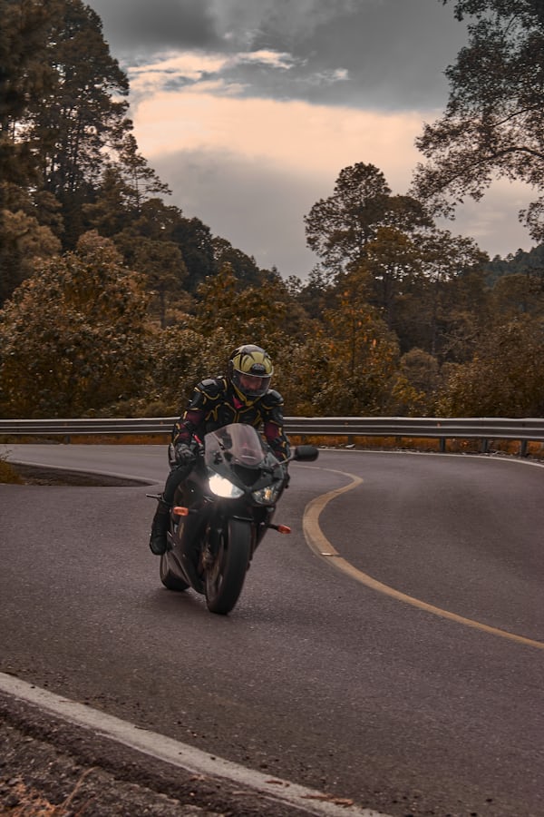 A solo rider on a cinematic forest road at golden hour